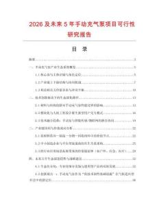 2026及未來5年手動充氣泵項目可行性研究報告