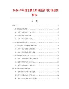 2026年中國米黃玉項目投資可行性研究報告