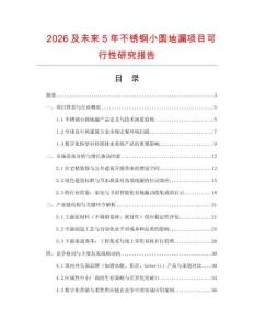 2026及未來5年不銹鋼小圓地漏項目可行性研究報告