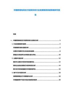 中國跨境電商支付結(jié)算系統(tǒng)行業(yè)發(fā)展瓶頸突破策略研究報告