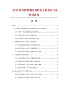 2026年中國抗堿消泡劑項目投資可行性研究報告