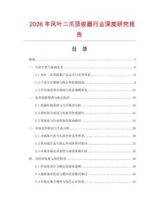 2026年風葉二爪頂拔器行業(yè)深度研究報告