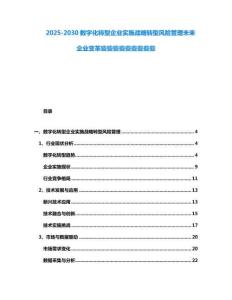 2025-2030數(shù)字化轉(zhuǎn)型企業(yè)實(shí)施戰(zhàn)略轉(zhuǎn)型風(fēng)險(xiǎn)管理未來(lái)企業(yè)變革些些些些些些些些些