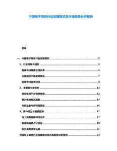 中國電子商務(wù)行業(yè)發(fā)展現(xiàn)狀及市場前景分析報(bào)告