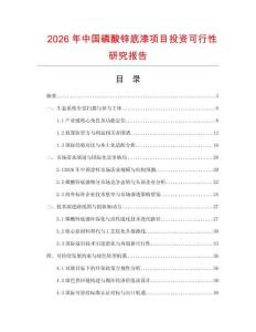 2026年中國磷酸鋅底漆項目投資可行性研究報告
