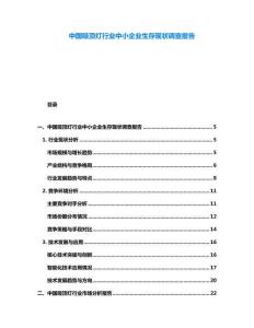 中國吸頂燈行業中小企業生存現狀調查報告