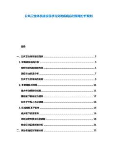 公共衛(wèi)生體系建設(shè)現(xiàn)狀與突發(fā)疾病應(yīng)對策略分析規(guī)劃