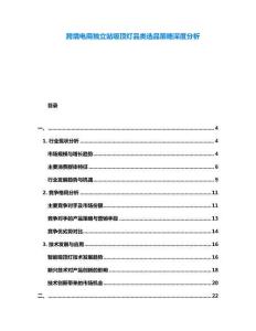 跨境電商獨立站吸頂燈品類選品策略深度分析