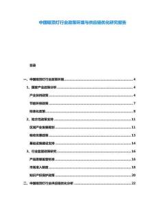 中國吸頂燈行業政策環境與供應鏈優化研究報告