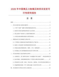 2026年中國(guó)蒸壓力粉煤灰磚項(xiàng)目投資可行性研究報(bào)告