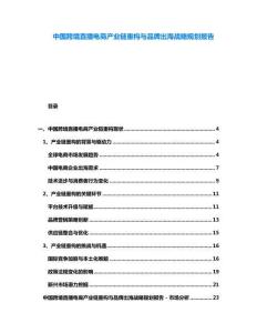 中國跨境直播電商產(chǎn)業(yè)鏈重構(gòu)與品牌出海戰(zhàn)略規(guī)劃報告
