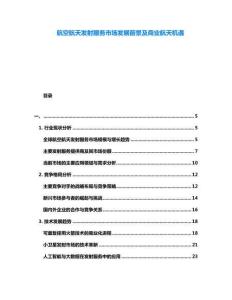 航空航天發(fā)射服務市場發(fā)展前景及商業(yè)航天機遇