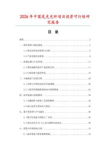 2026年中國尾光光纖項目投資可行性研究報告