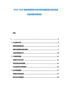 2025-2030智能電網項目市場供需資源配置分析及投資收益周期測算報告