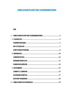 中國社交電商平臺用戶增長與變現(xiàn)策略研究報(bào)告