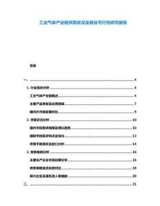 工業(yè)氣體產(chǎn)業(yè)鏈供需狀況及商業(yè)可行性研究報告
