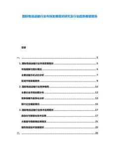 國際物流運(yùn)輸行業(yè)市場發(fā)展現(xiàn)狀研究及行業(yè)趨勢展望報告