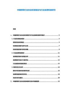 中國照明行業(yè)協(xié)會標準制定與行業(yè)自律機制研究