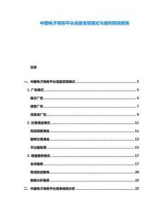中國電子商務(wù)平臺流量變現(xiàn)模式與盈利預(yù)測報(bào)告