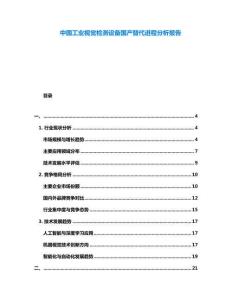中國工業(yè)視覺檢測設(shè)備國產(chǎn)替代進程分析報告