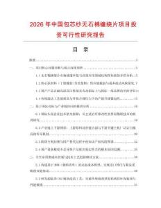 2026年中國包芯紗無石棉纏繞片項目投資可行性研究報告