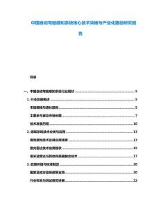 中國(guó)自動(dòng)駕駛感知系統(tǒng)核心技術(shù)突破與產(chǎn)業(yè)化路徑研究報(bào)告
