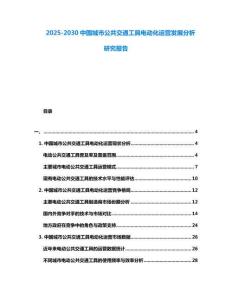 2025-2030中國(guó)城市公共交通工具電動(dòng)化運(yùn)營(yíng)發(fā)展分析研究報(bào)告