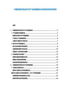 中國(guó)氫燃料電池汽車產(chǎn)業(yè)發(fā)展路徑與政策導(dǎo)向研究報(bào)告