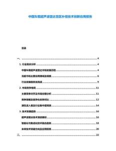 中國車載超聲波雷達(dá)盲區(qū)補償技術(shù)創(chuàng)新應(yīng)用報告