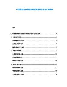 中國智慧城市道路照明系統(tǒng)建設(shè)標(biāo)準(zhǔn)與實(shí)施案例