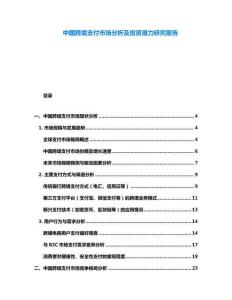 中國跨境支付市場分析及投資潛力研究報告