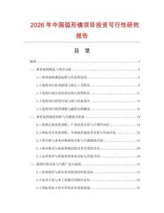 2026年中國弧形鏡項目投資可行性研究報告