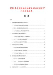 2026年中國(guó)除漆除銹黑金剛項(xiàng)目投資可行性研究報(bào)告