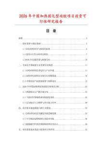 2026年中國加熱固化型硅膠項目投資可行性研究報告