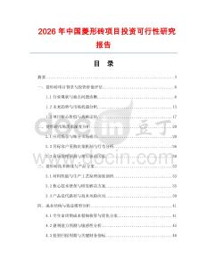 2026年中國菱形磚項目投資可行性研究報告
