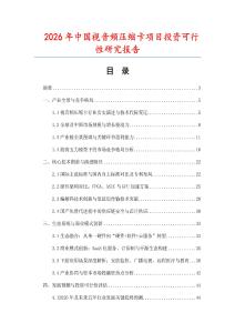 2026年中国视音频压缩卡项目投资可行性研究报告