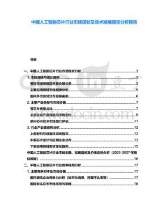 中國(guó)人工智能芯片行業(yè)市場(chǎng)現(xiàn)狀及技術(shù)發(fā)展路徑分析報(bào)告