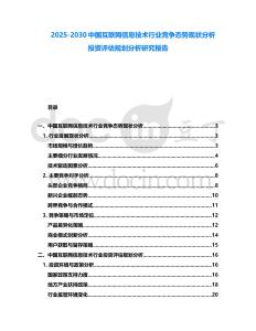 2025-2030中国互联网信息技术行业竞争态势现状分析投资评估规划分析研究报告