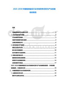 2025-2030中國視頻監(jiān)控行業(yè)市場競爭態(tài)勢與產(chǎn)業(yè)發(fā)展規(guī)劃報(bào)告