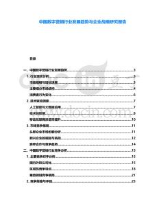 中國數(shù)字營銷行業(yè)發(fā)展趨勢與企業(yè)戰(zhàn)略研究報告