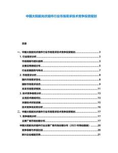 中國太陽能光伏組件行業(yè)市場需求技術競爭投資規(guī)劃