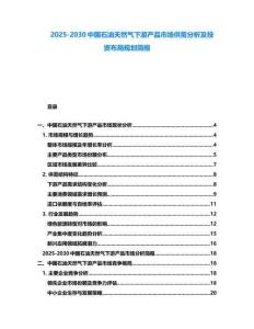 2025-2030中國(guó)石油天然氣下游產(chǎn)品市場(chǎng)供需分析及投資布局規(guī)劃簡(jiǎn)報(bào)