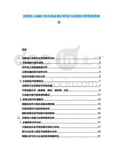 北美海上運(yùn)輸行業(yè)市場(chǎng)全面分析及行業(yè)前景與競(jìng)爭(zhēng)趨勢(shì)報(bào)告