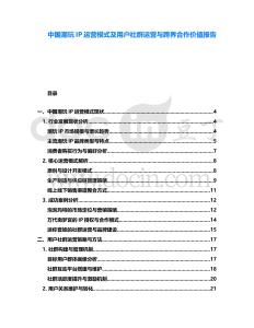 中國潮玩IP運營模式及用戶社群運營與跨界合作價值報告