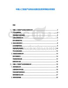 中國人工智能產(chǎn)業(yè)商業(yè)化路徑及競爭策略分析報(bào)告