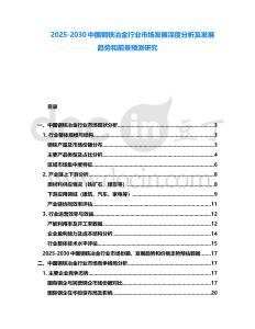 2025-2030中國(guó)鋼鐵冶金行業(yè)市場(chǎng)發(fā)展深度分析及發(fā)展趨勢(shì)和前景預(yù)測(cè)研究