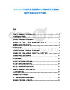 2025-2030中國汽車金融服務行業(yè)市場現(xiàn)狀供需分析及投資評估規(guī)劃分析研究報告