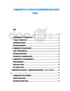中國(guó)新能源汽車產(chǎn)業(yè)鏈分析及市場(chǎng)前景預(yù)測(cè)與技術(shù)創(chuàng)新研究報(bào)告