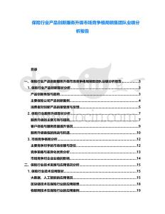 保險行業(yè)產(chǎn)品創(chuàng)新服務(wù)升級市場競爭格局銷售團(tuán)隊業(yè)績分析報告