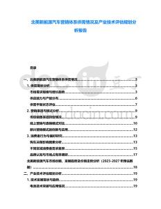 北美新能源汽車營銷體系供需情況及產(chǎn)業(yè)技術(shù)評估規(guī)劃分析報告